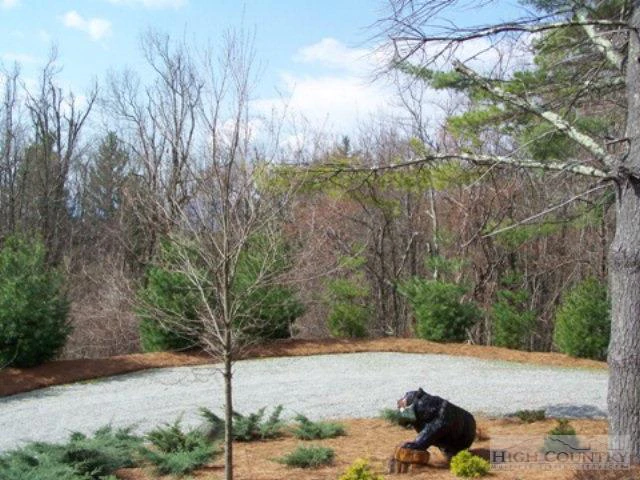 Image number 8 for the current listing