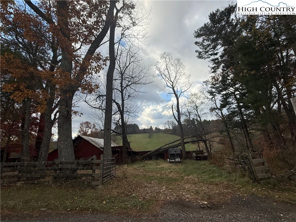 Image number 4 for the current listing