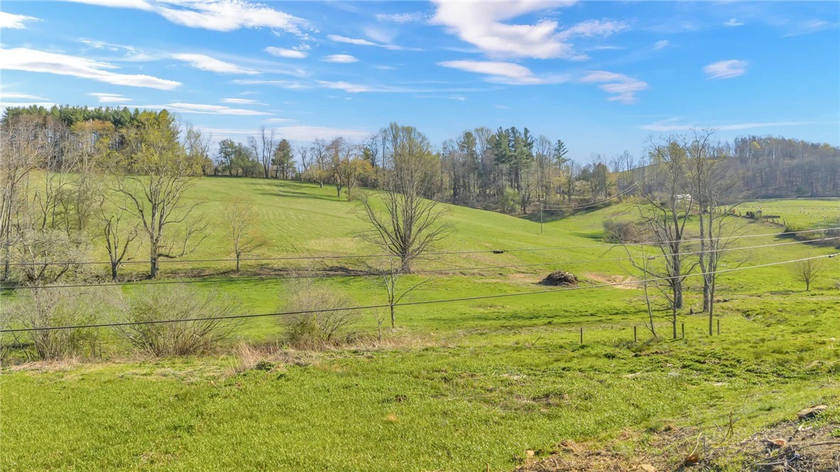 Image number 15 for the current listing