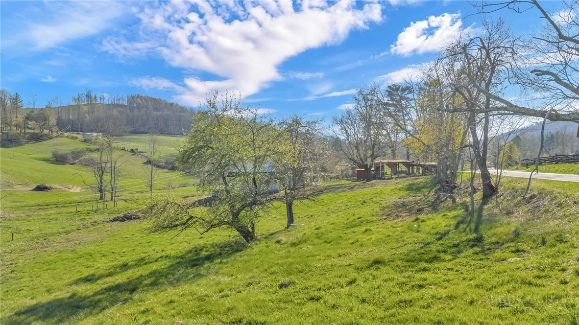 Image number 16 for the current listing