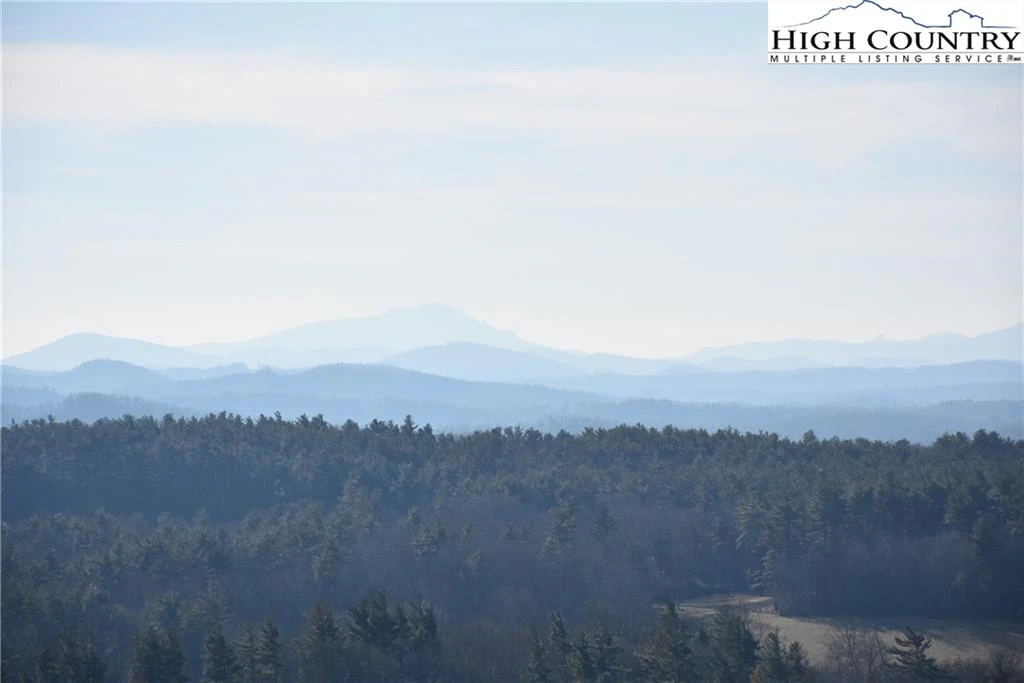 Image number 2 for the current listing