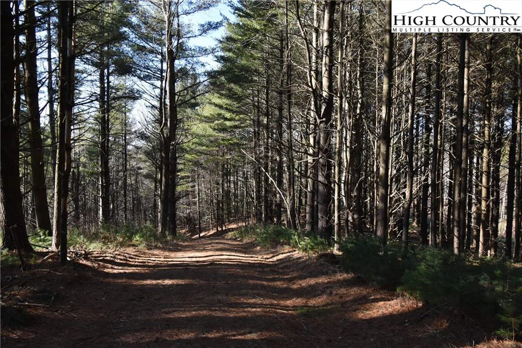 Image number 20 for the current listing