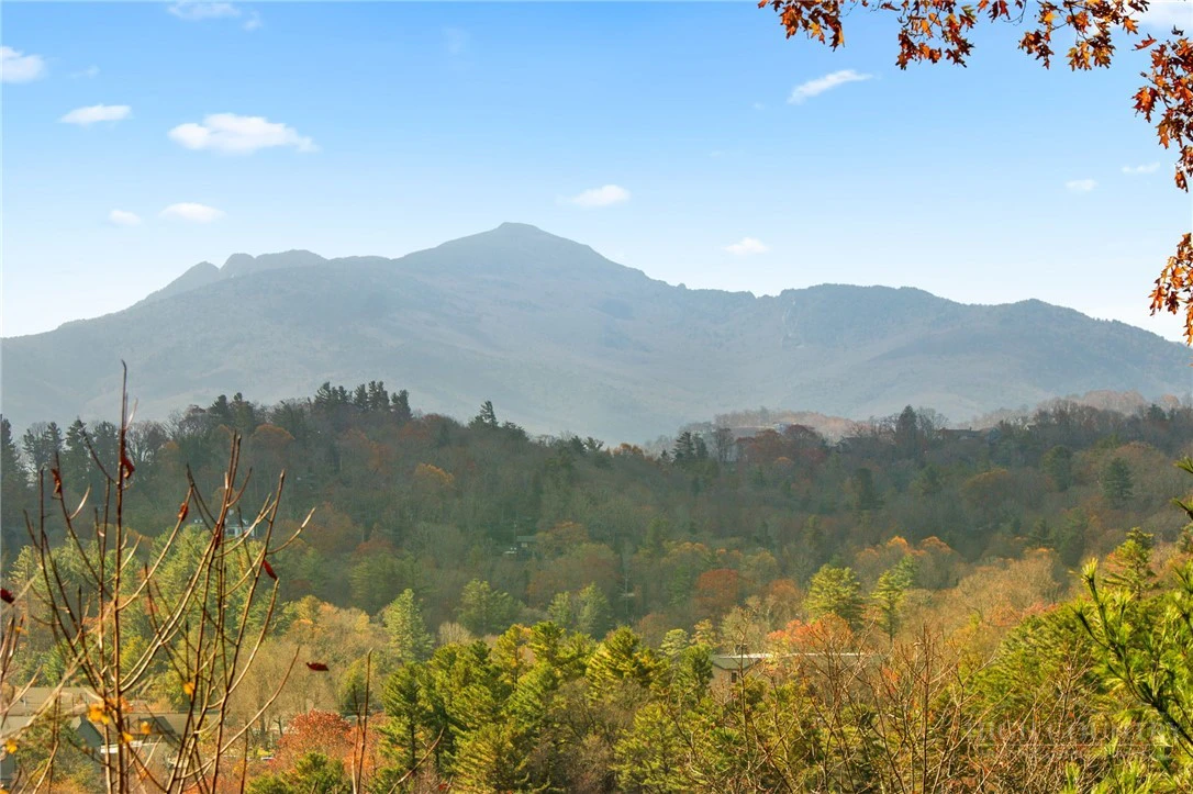 Image number 5 for the current listing