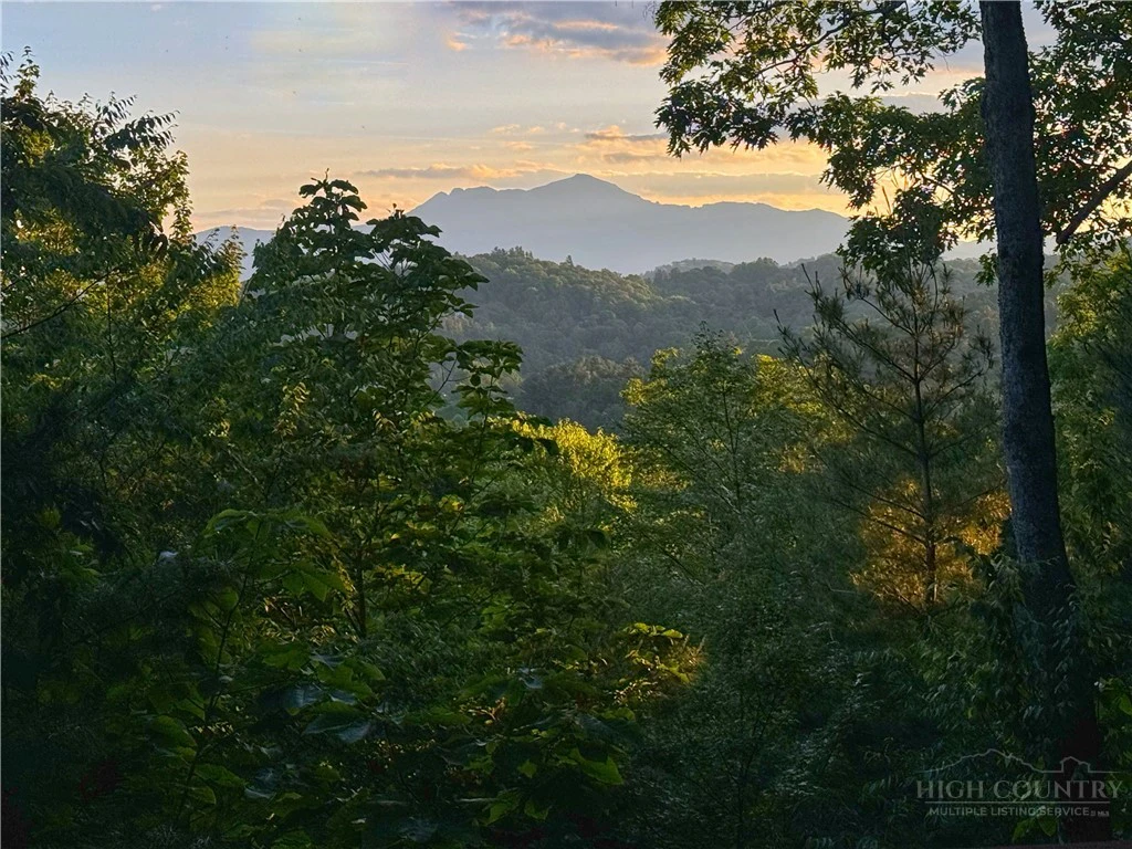 Image number 3 for the current listing