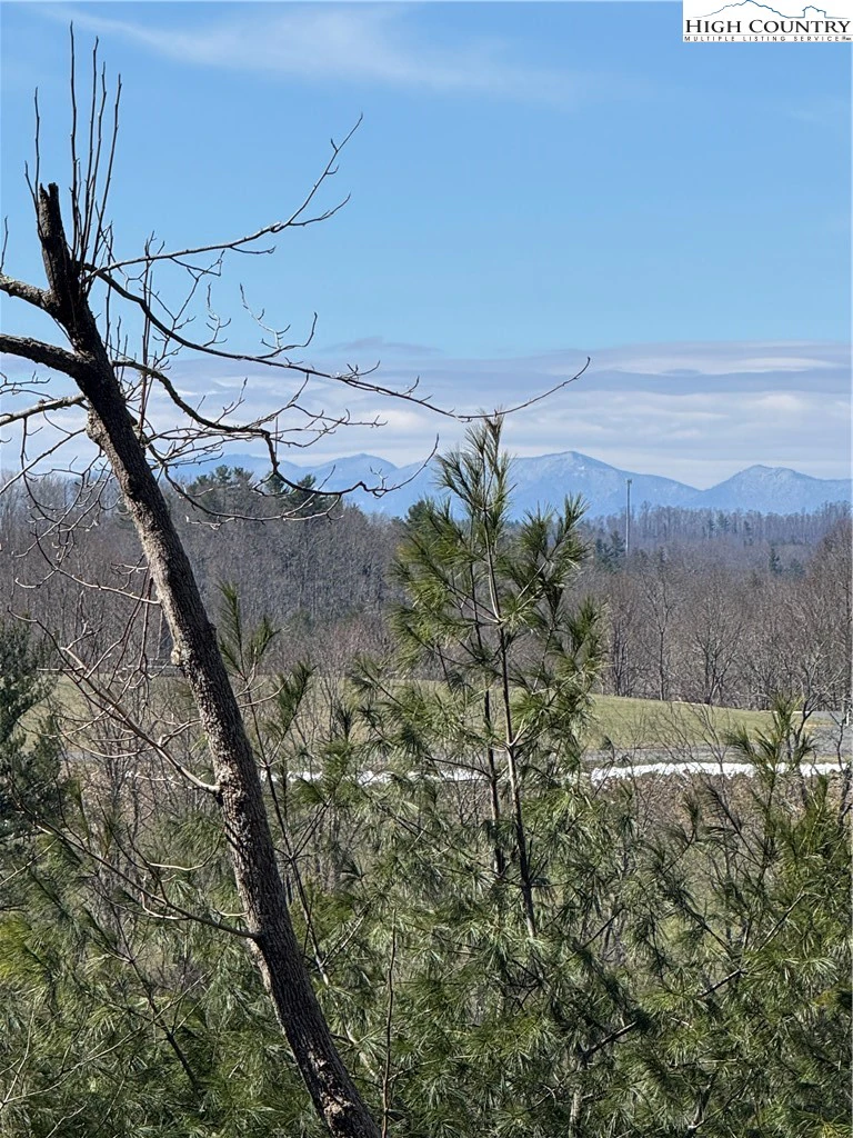 Image number 3 for the current listing