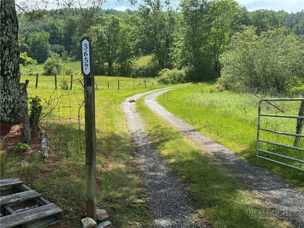 Image number 1 for the current listing