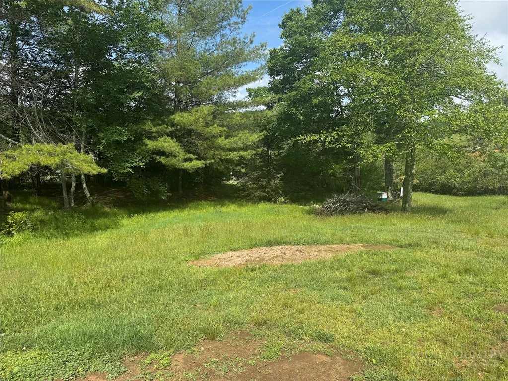 Image number 2 for the current listing
