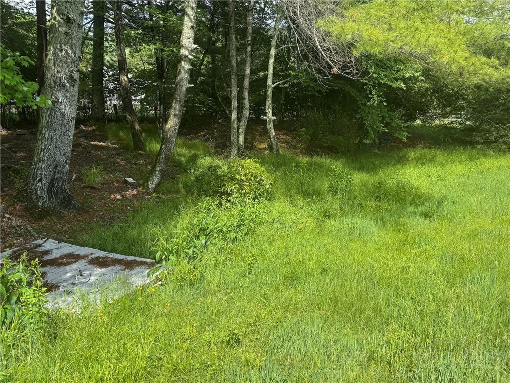 Image number 14 for the current listing