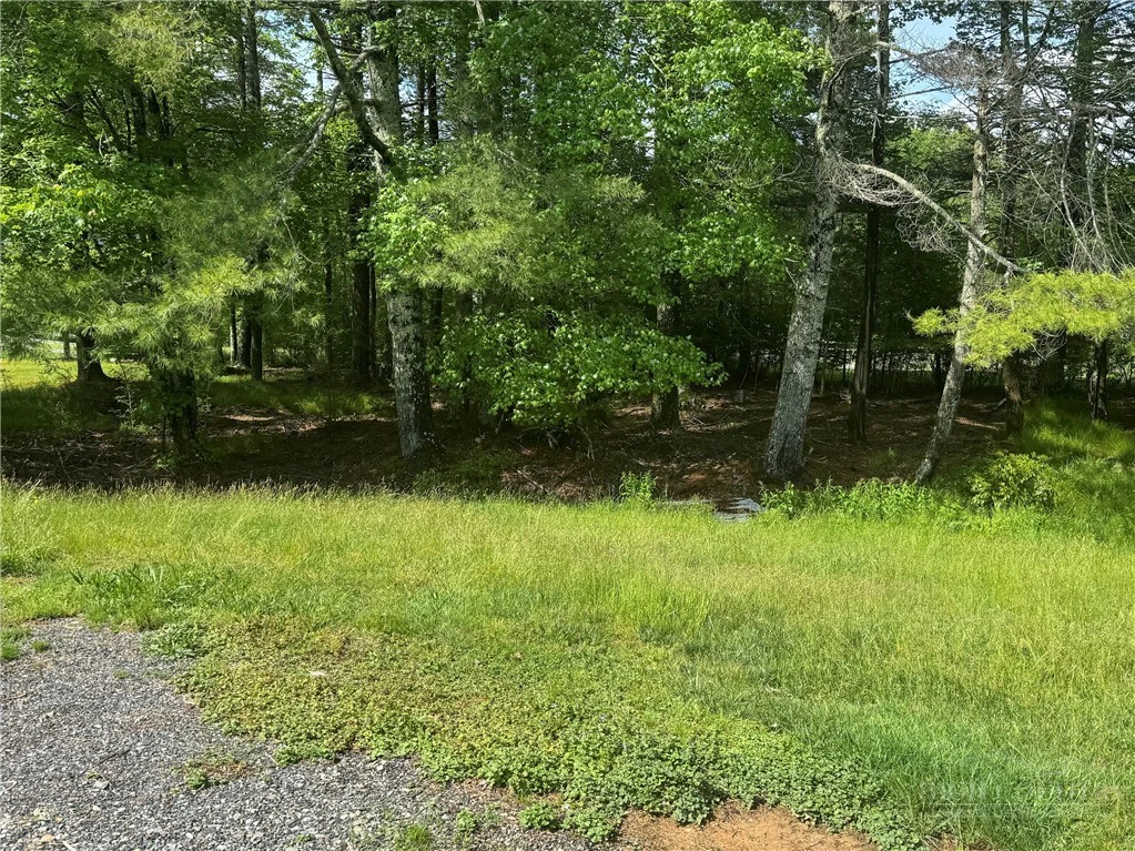 Image number 3 for the current listing