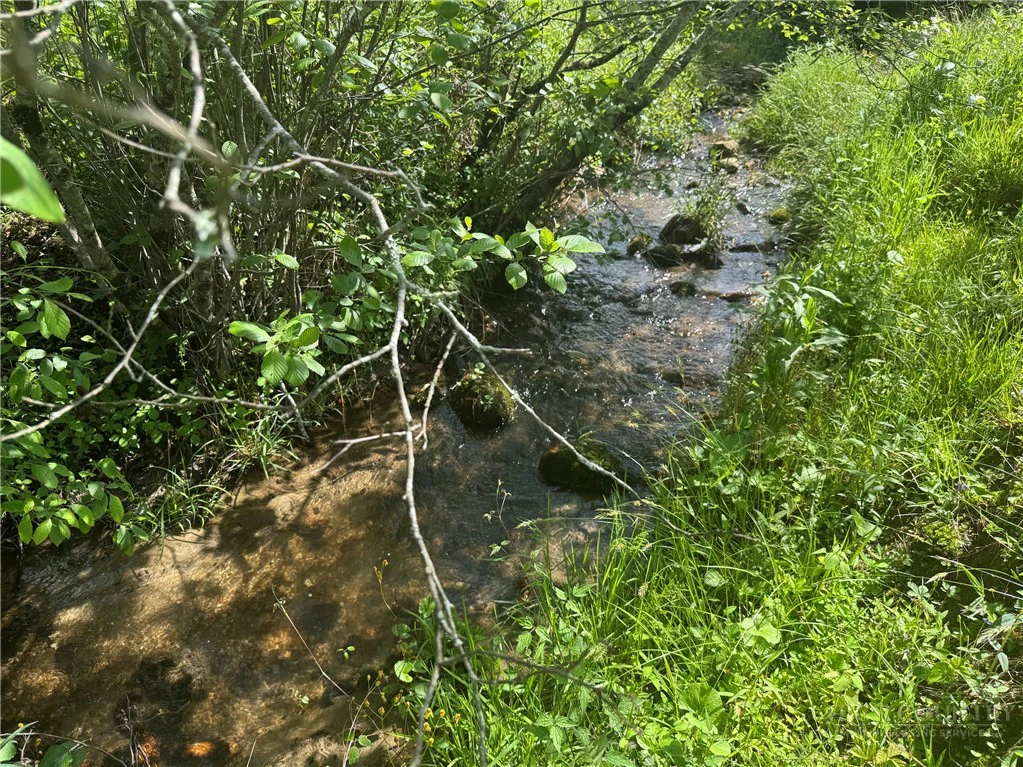Image number 13 for the current listing