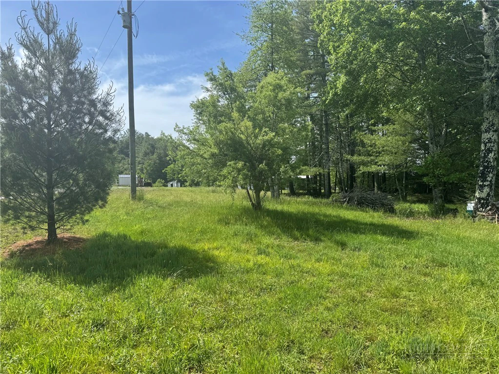 Image number 10 for the current listing