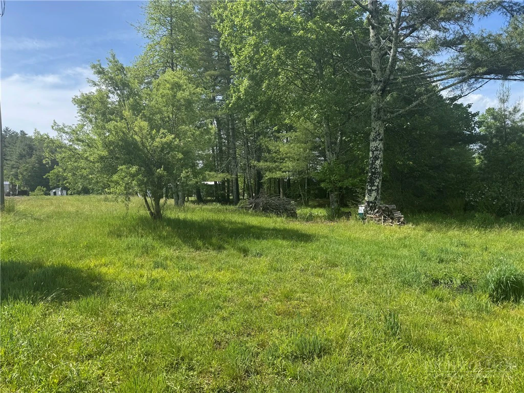 Image number 15 for the current listing