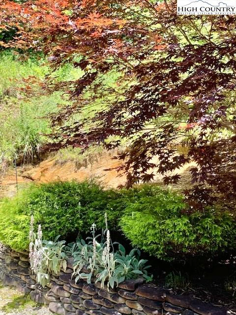 Image number 6 for the current listing