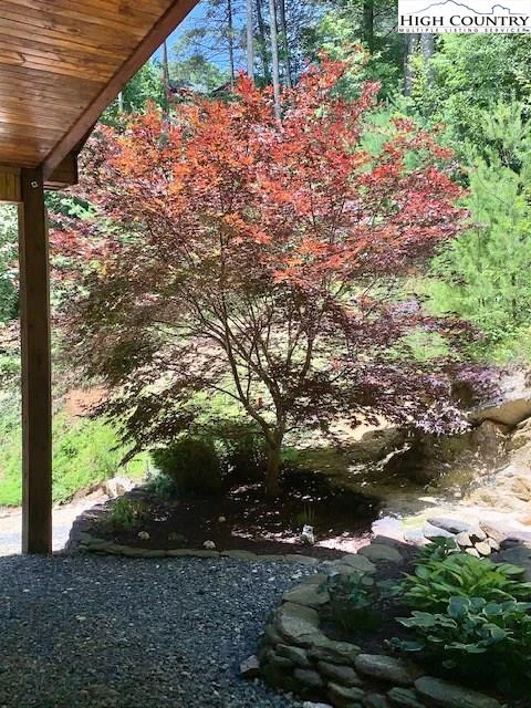 Image number 3 for the current listing