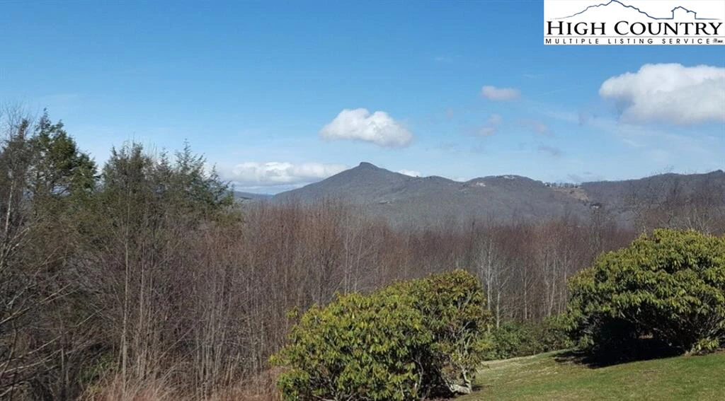 Image number 1 for the current listing