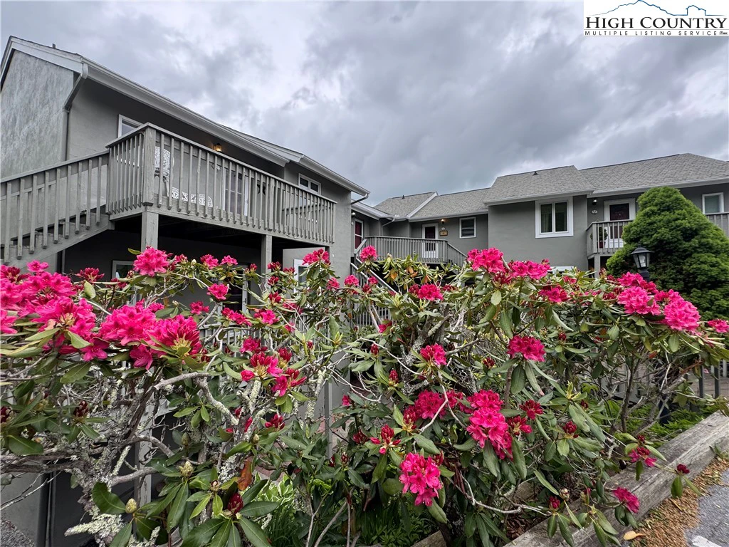 Image number 1 for the current listing
