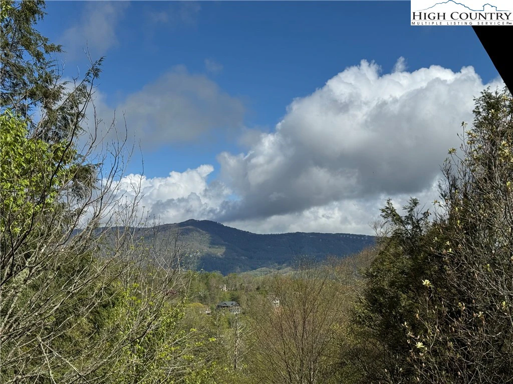 Image number 5 for the current listing