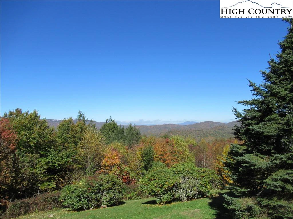 Image number 1 for the current listing
