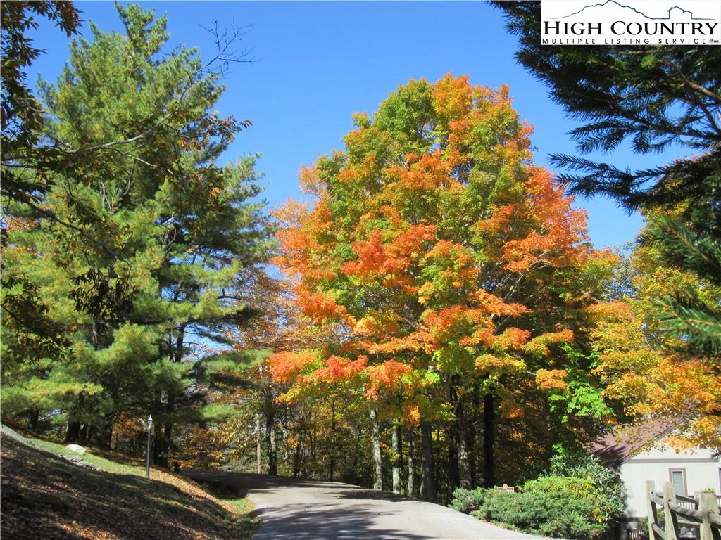 Image number 4 for the current listing