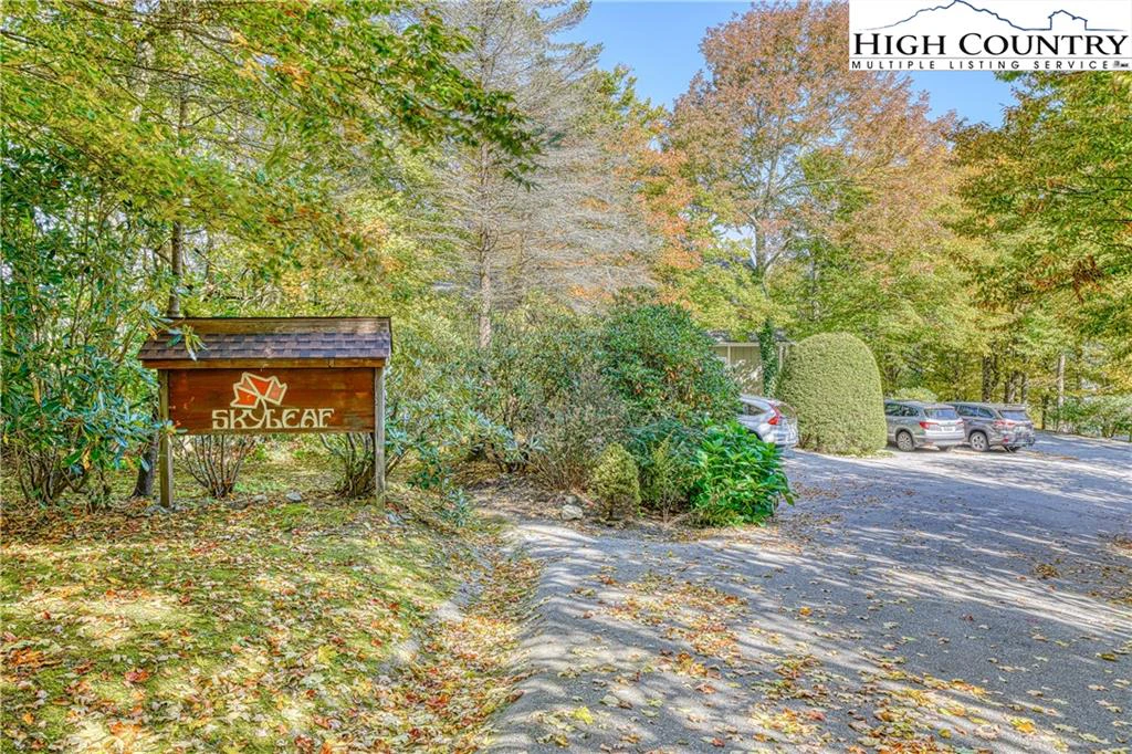 Image number 5 for the current listing
