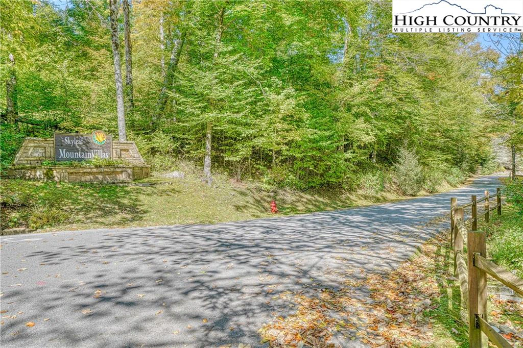 Image number 14 for the current listing