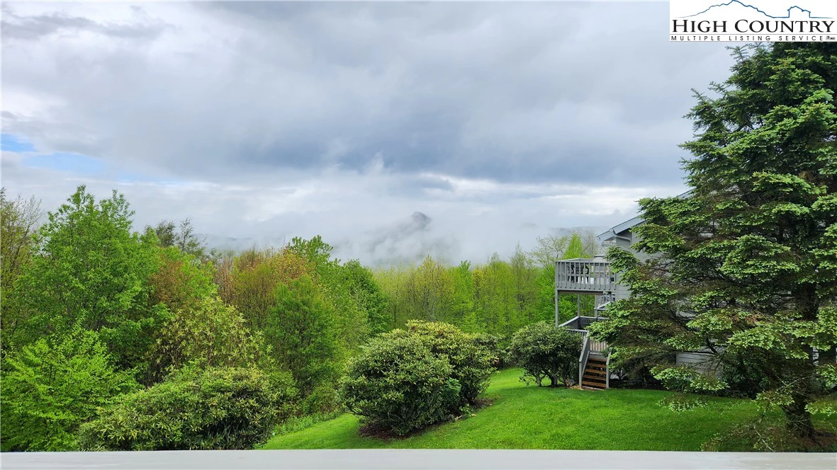 Image number 2 for the current listing