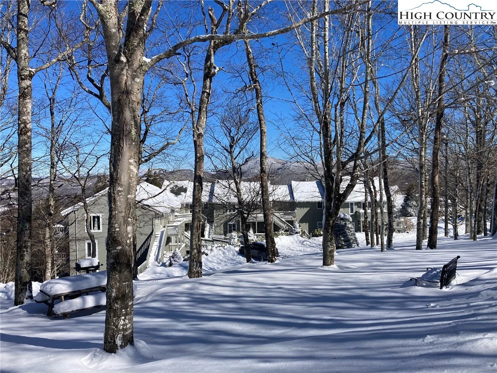 Image number 14 for the current listing