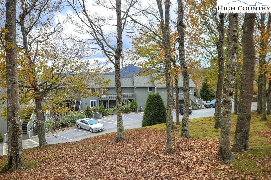 Image number 17 for the current listing