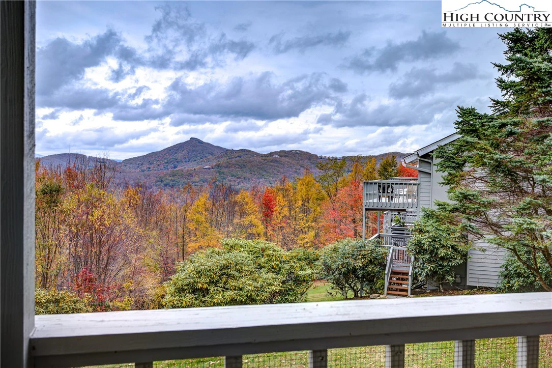 Image number 5 for the current listing