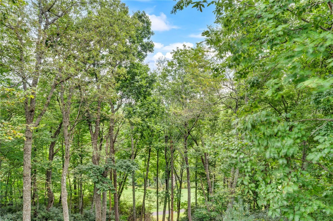 Image number 19 for the current listing