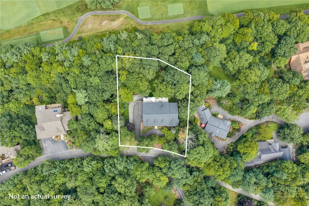 Image number 6 for the current listing