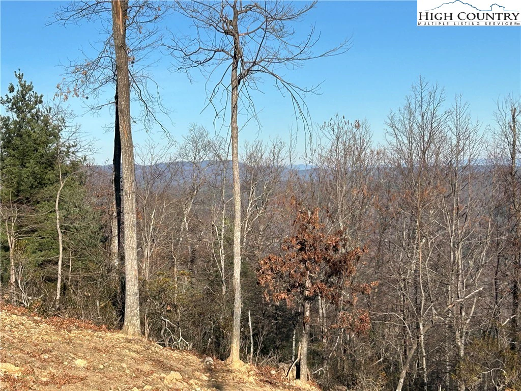 Image number 19 for the current listing