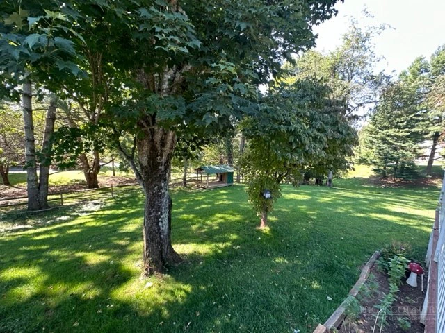 Image number 19 for the current listing