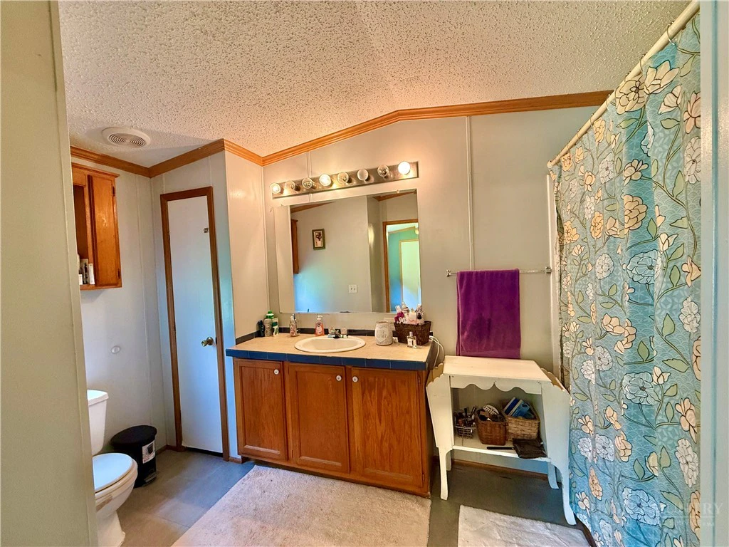 Image number 13 for the current listing