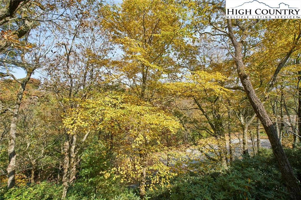 Image number 21 for the current listing