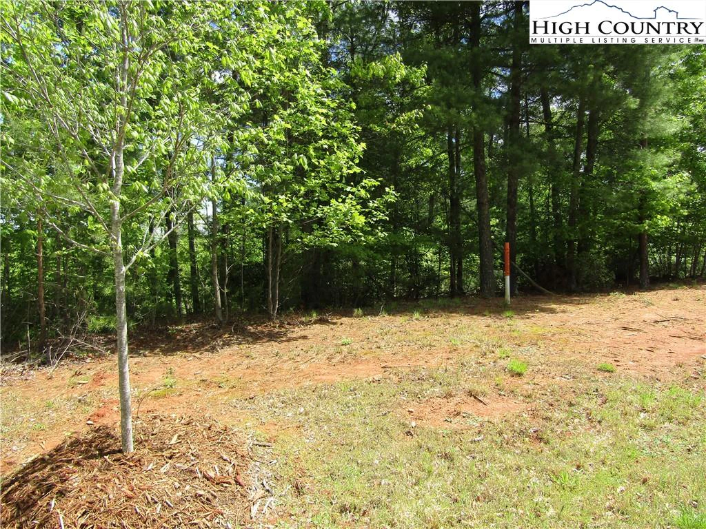 Image number 1 for the current listing