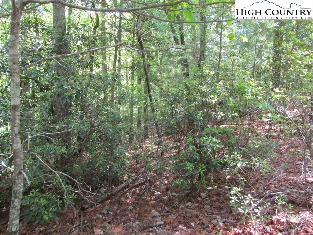 Image number 11 for the current listing