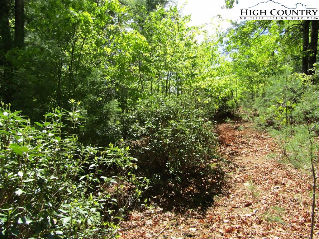 Image number 3 for the current listing