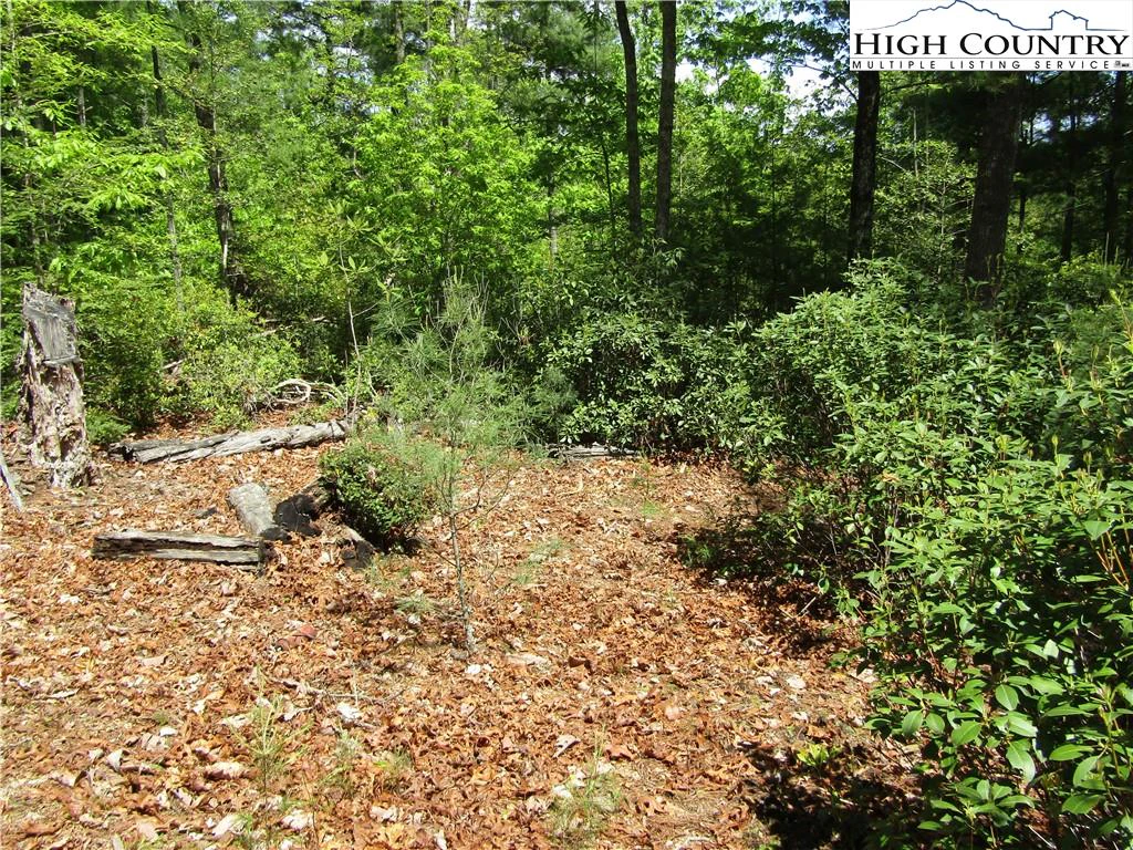 Image number 4 for the current listing
