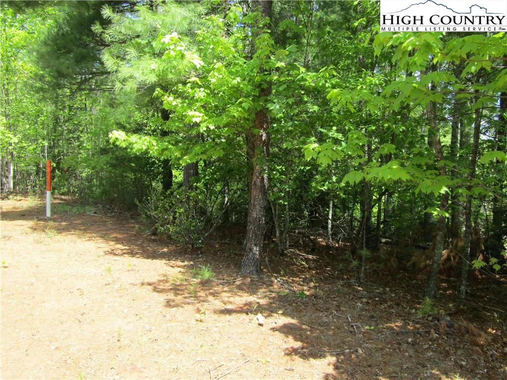 Image number 7 for the current listing