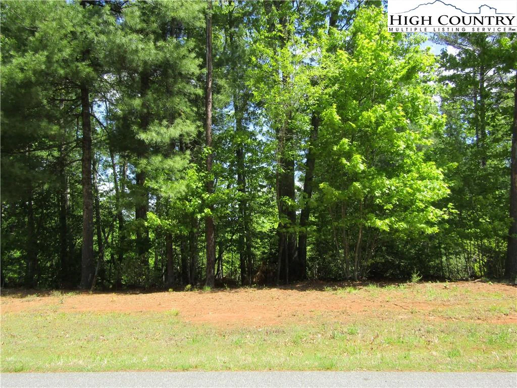 Image number 8 for the current listing