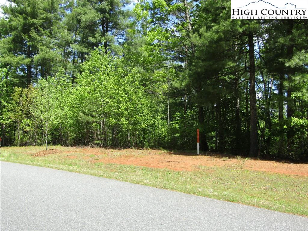 Image number 10 for the current listing