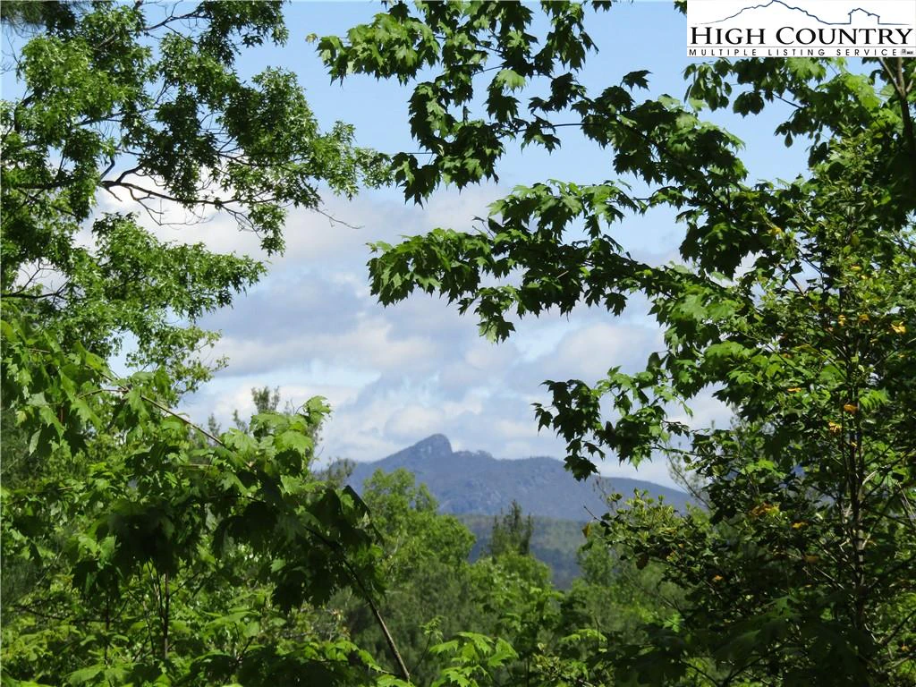 Image number 12 for the current listing