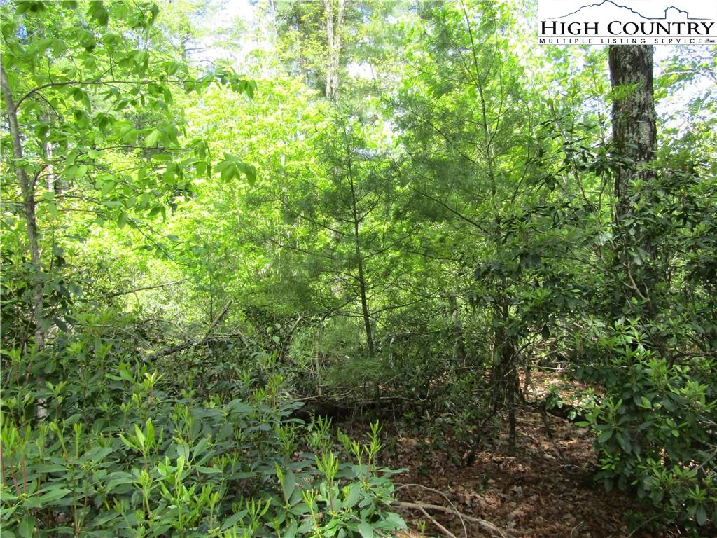 Image number 20 for the current listing