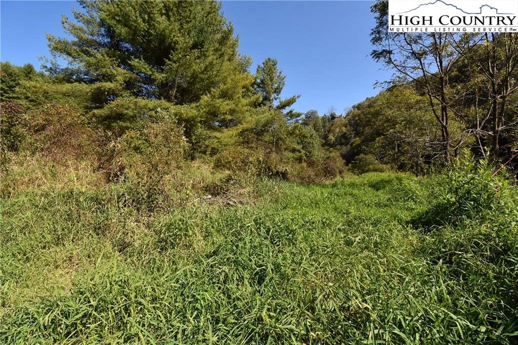 Image number 1 for the current listing