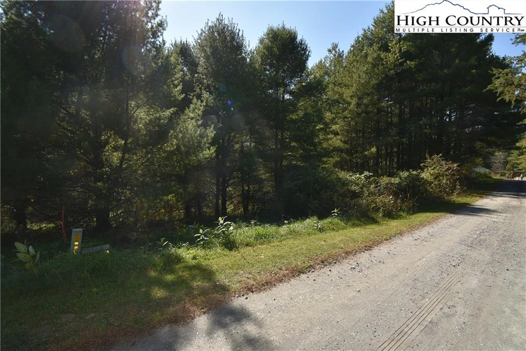 Image number 11 for the current listing