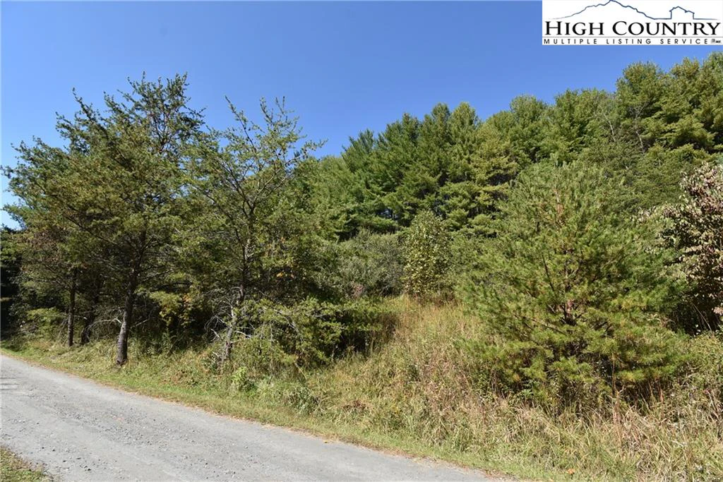 Image number 13 for the current listing