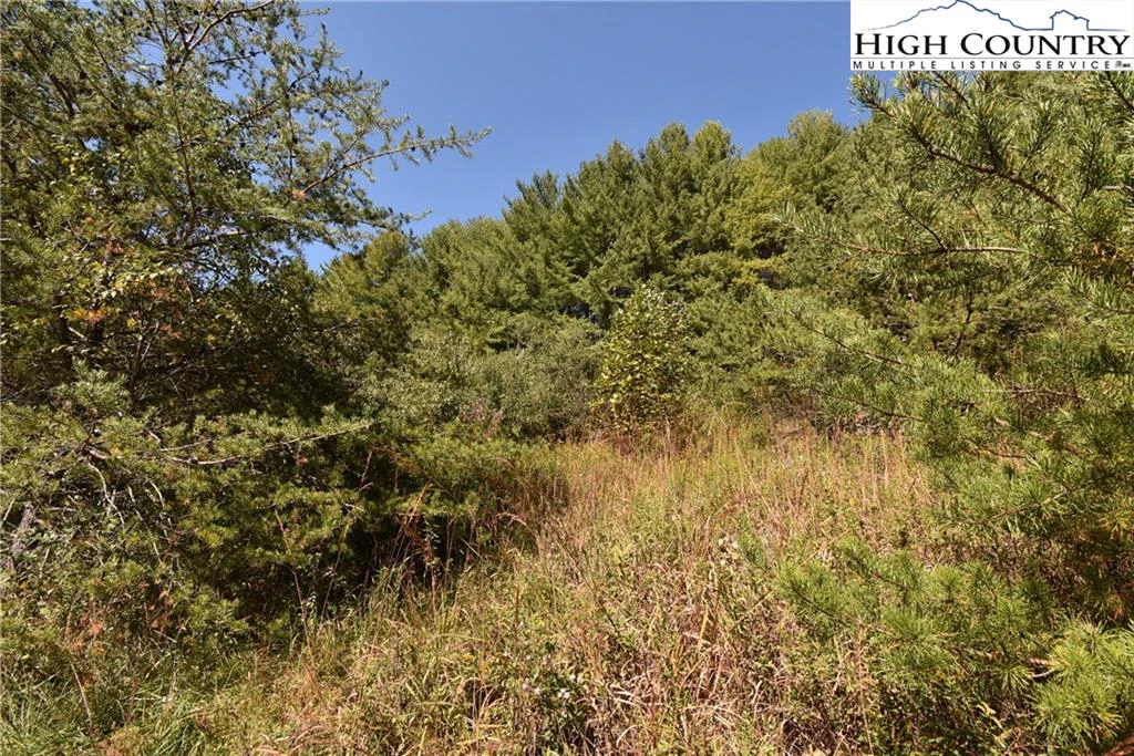 Image number 14 for the current listing
