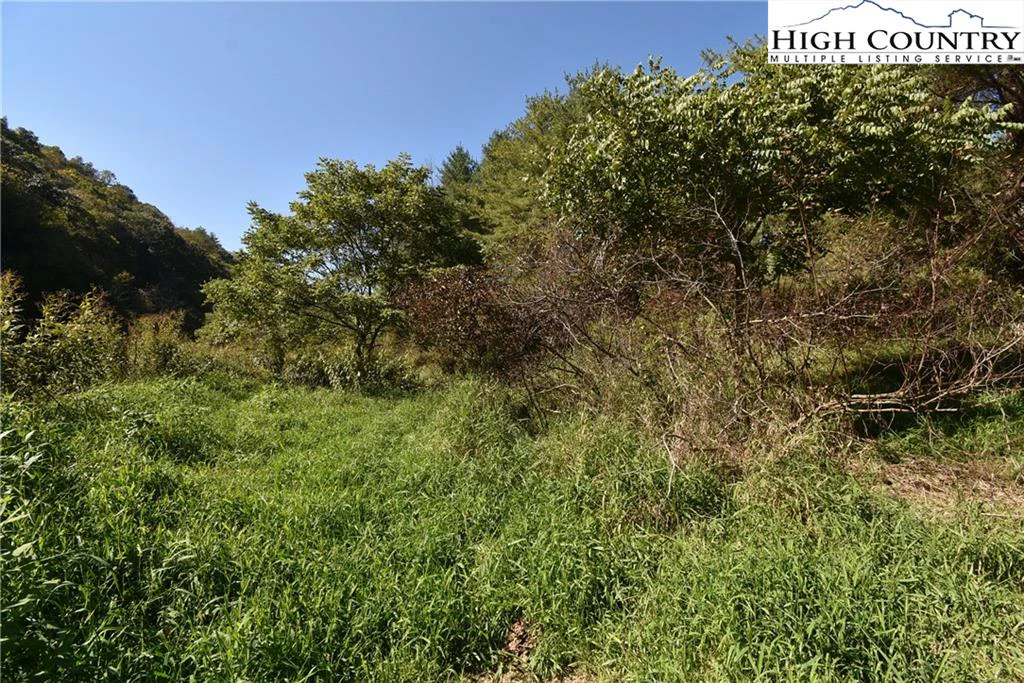 Image number 3 for the current listing