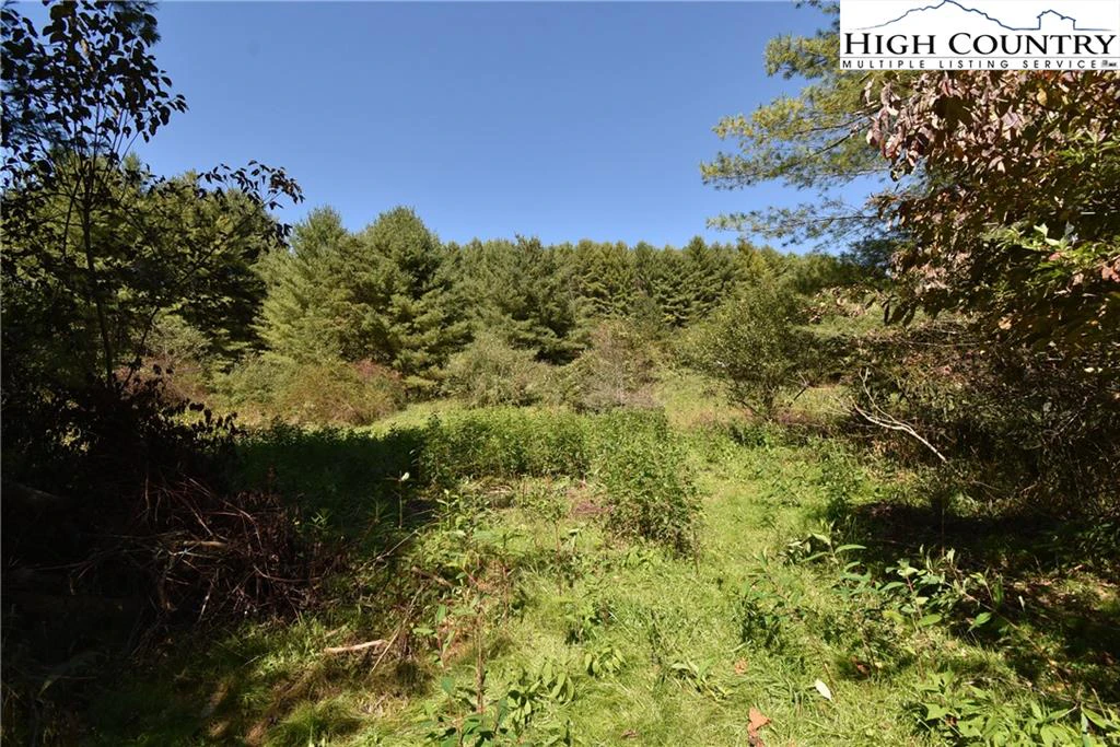 Image number 7 for the current listing